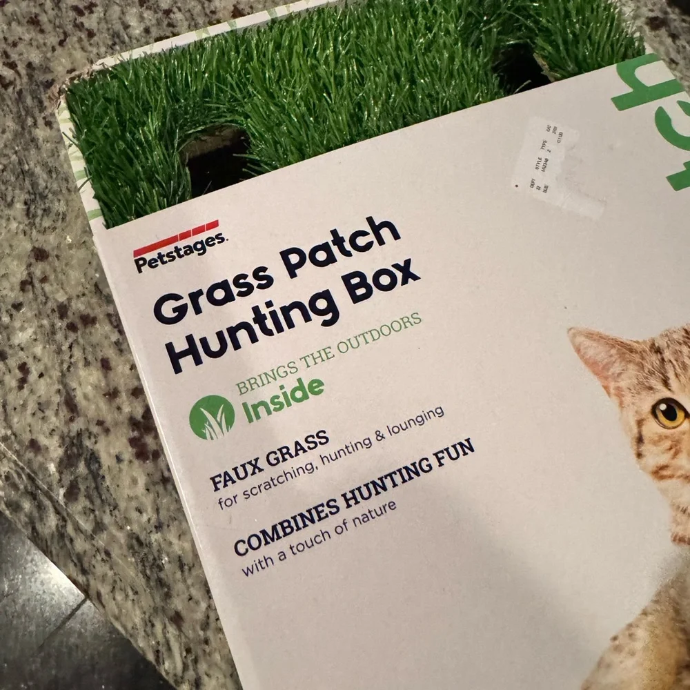 Grass Patch Hunting Box for Cats, water fountain, dry gravity feeder & toys lot
